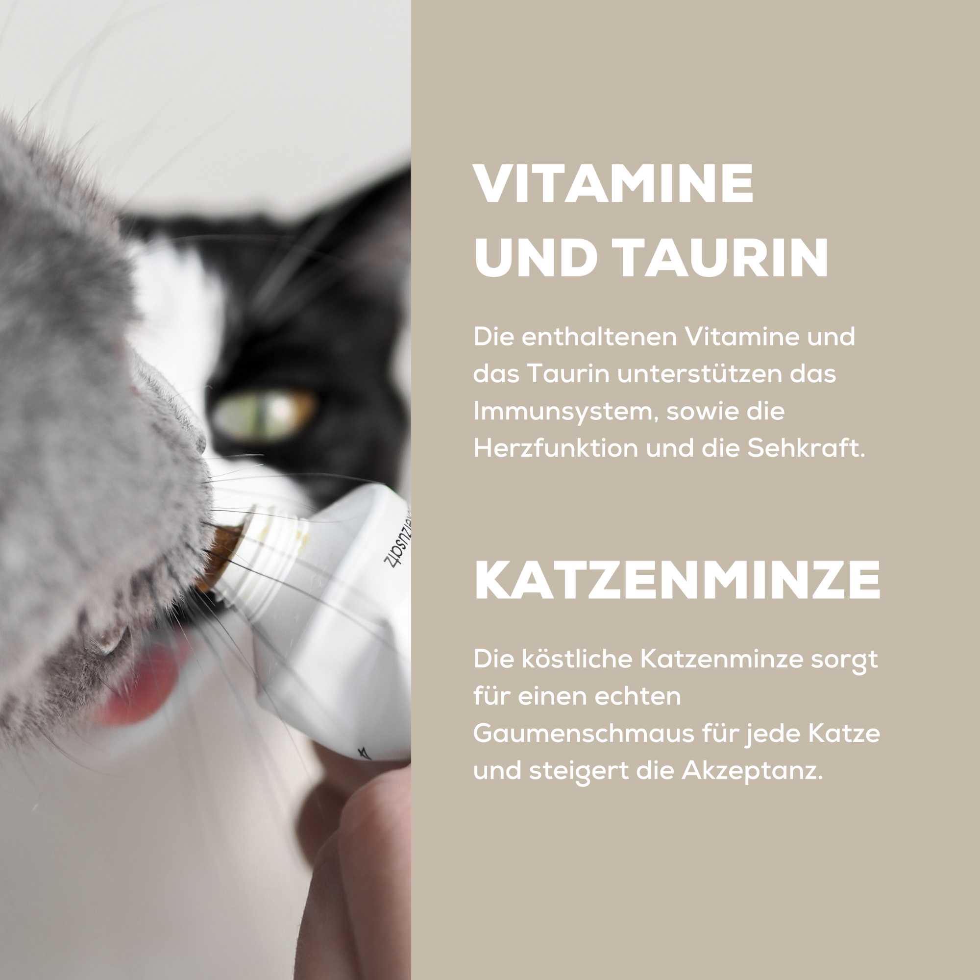 Porträt Minty&Marla > Die GimCat Paste für Minty & Marla >  | GIMBORN