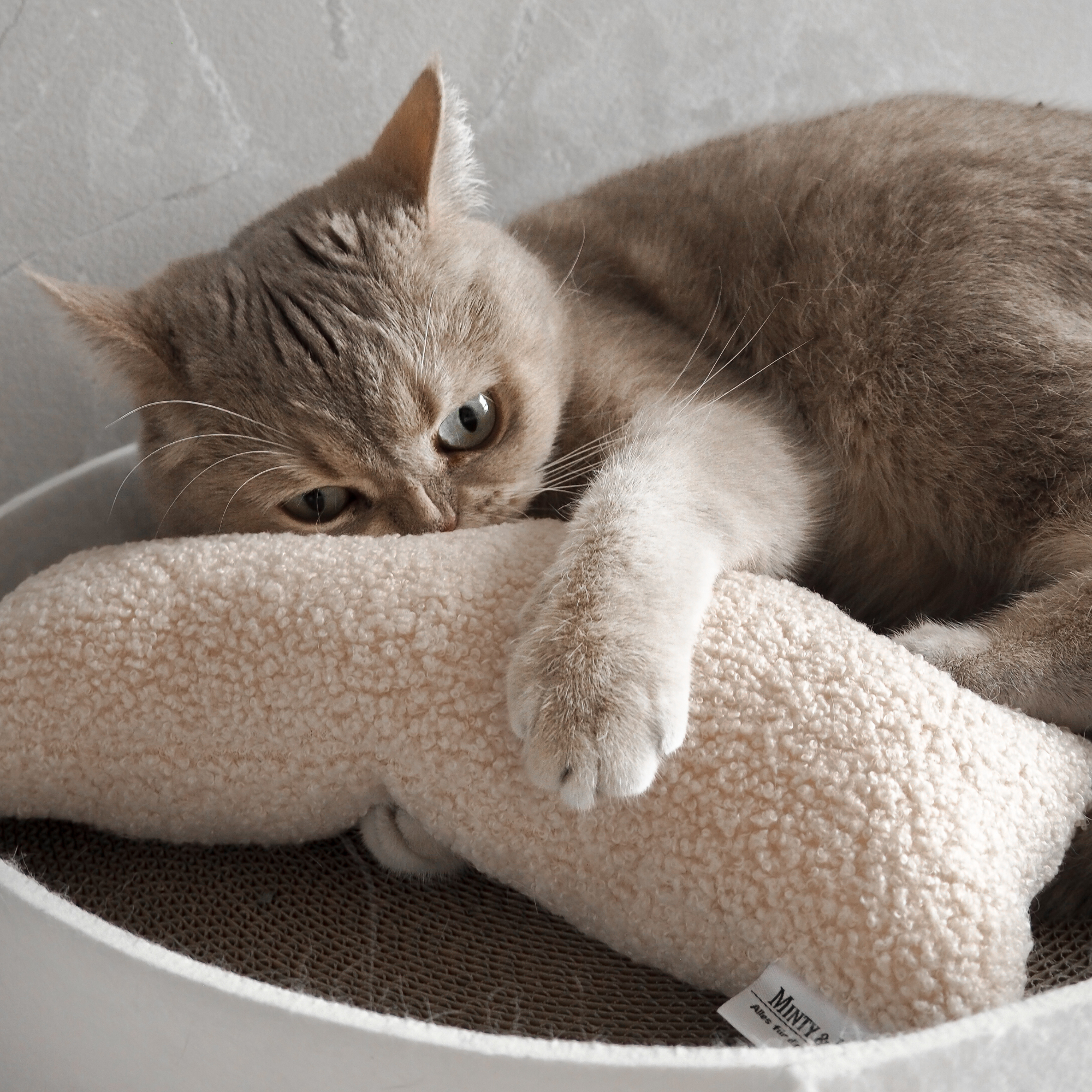 Porträt Minty&Marla > Mitnty & Marla - Shop, Team, Profukte >  | GIMBORN