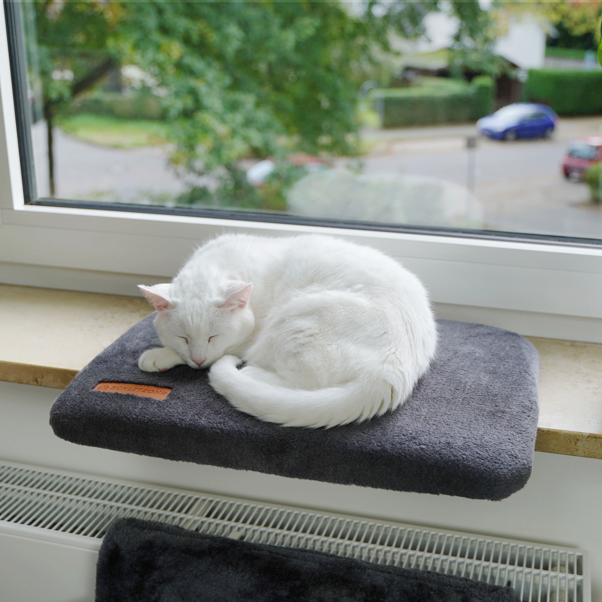 Porträt Schlitzohr > Galerie Shop > Fensterbankliege | GIMBORN