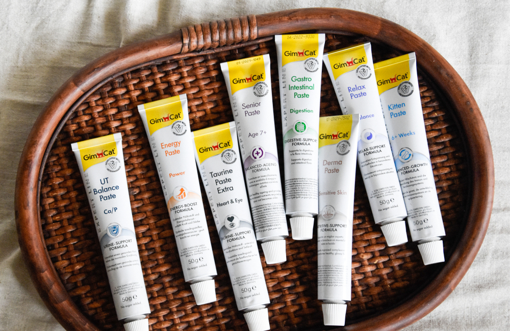 Gim Cat > Expert Line Premium Pasten | GIMBORN