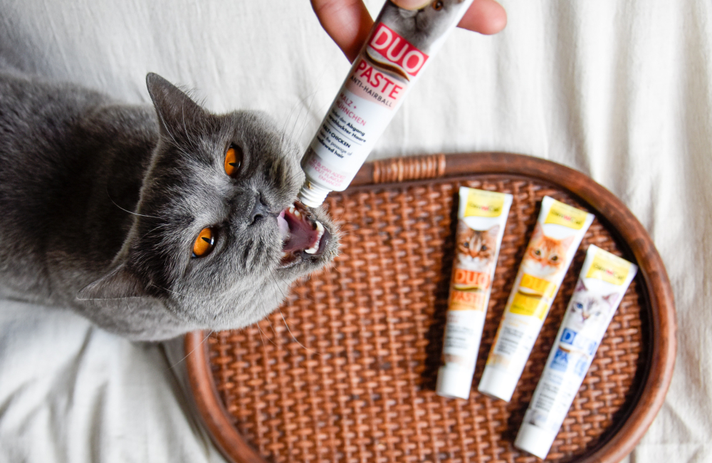 Gim Cat > Duo-Pasten | GIMBORN