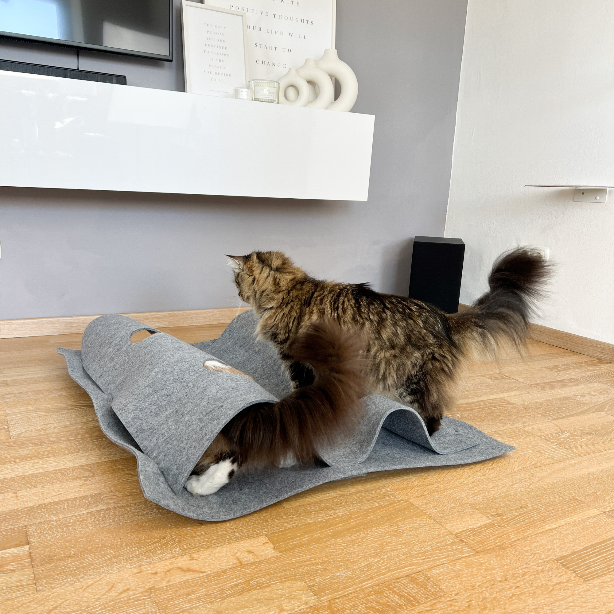 Nachhaltigkeits-Quiz > Quiz > 5- Preis ein Activity Teppich & ein GimCat Snackpaket | GIMBORN