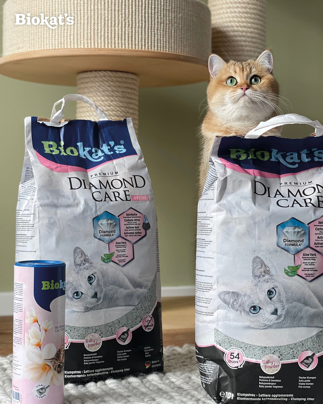 Nachhaltigkeits-Quiz > Quiz > 1. Preis: Ein Jahresvorrat Biokat's nach Wahl + GimCat Snackpaket | GIMBORN