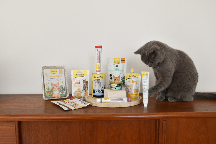 Aktionen > Lieblings-Bundle | GIMBORN