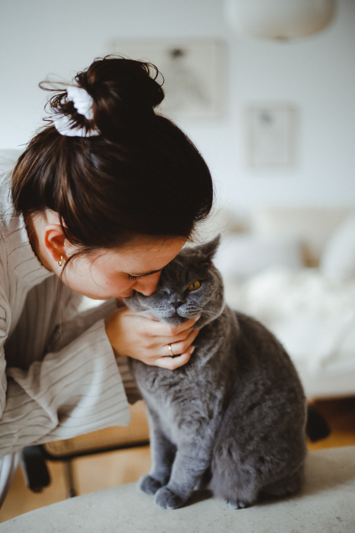 Katzenliebe | GIMBORN