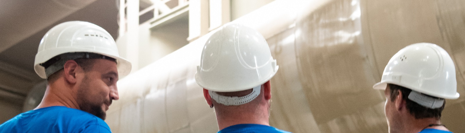 Nachhaltigkeits-Quiz | GIMBORN