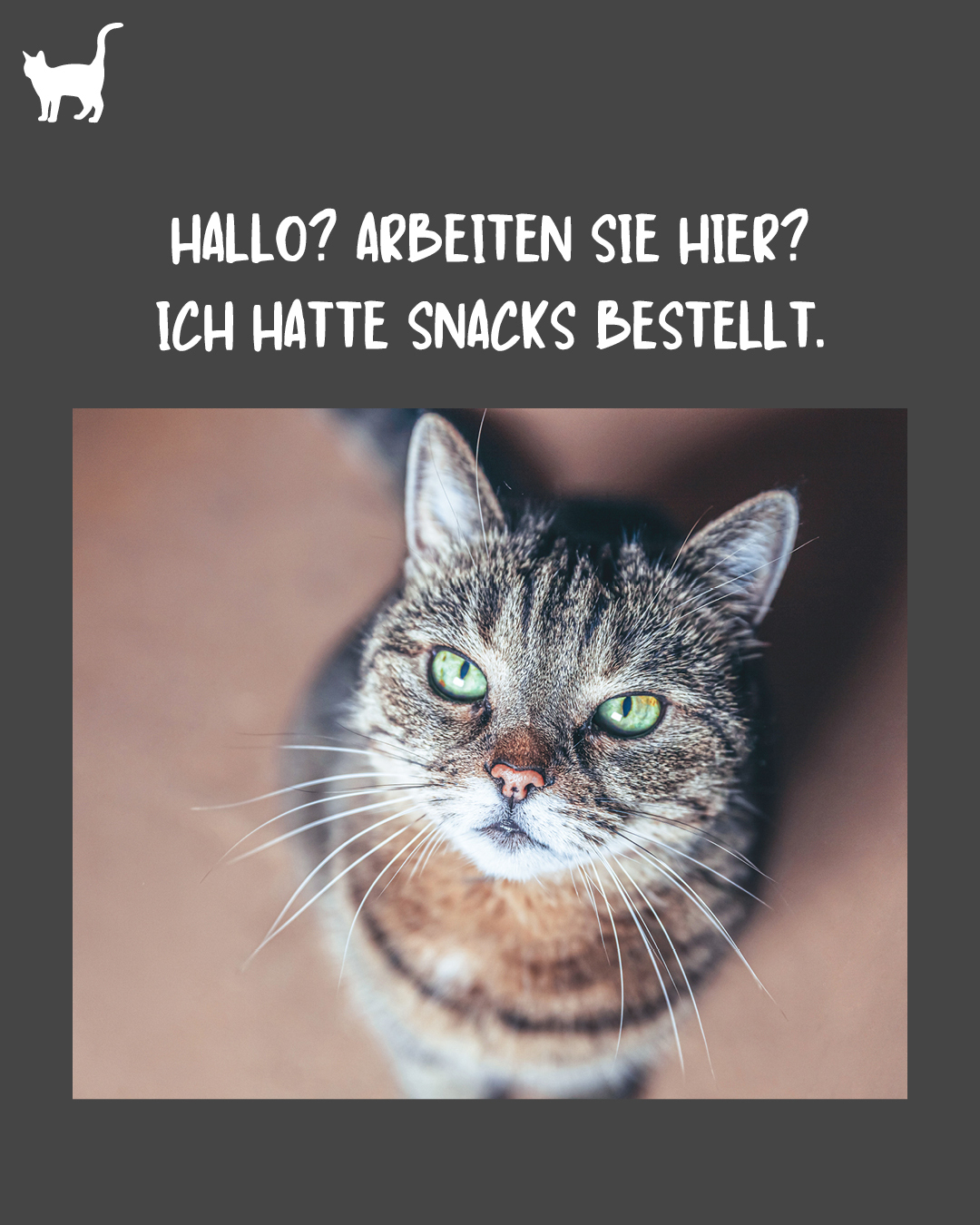 Snacks bestellt! > Meme >  | GIMBORN