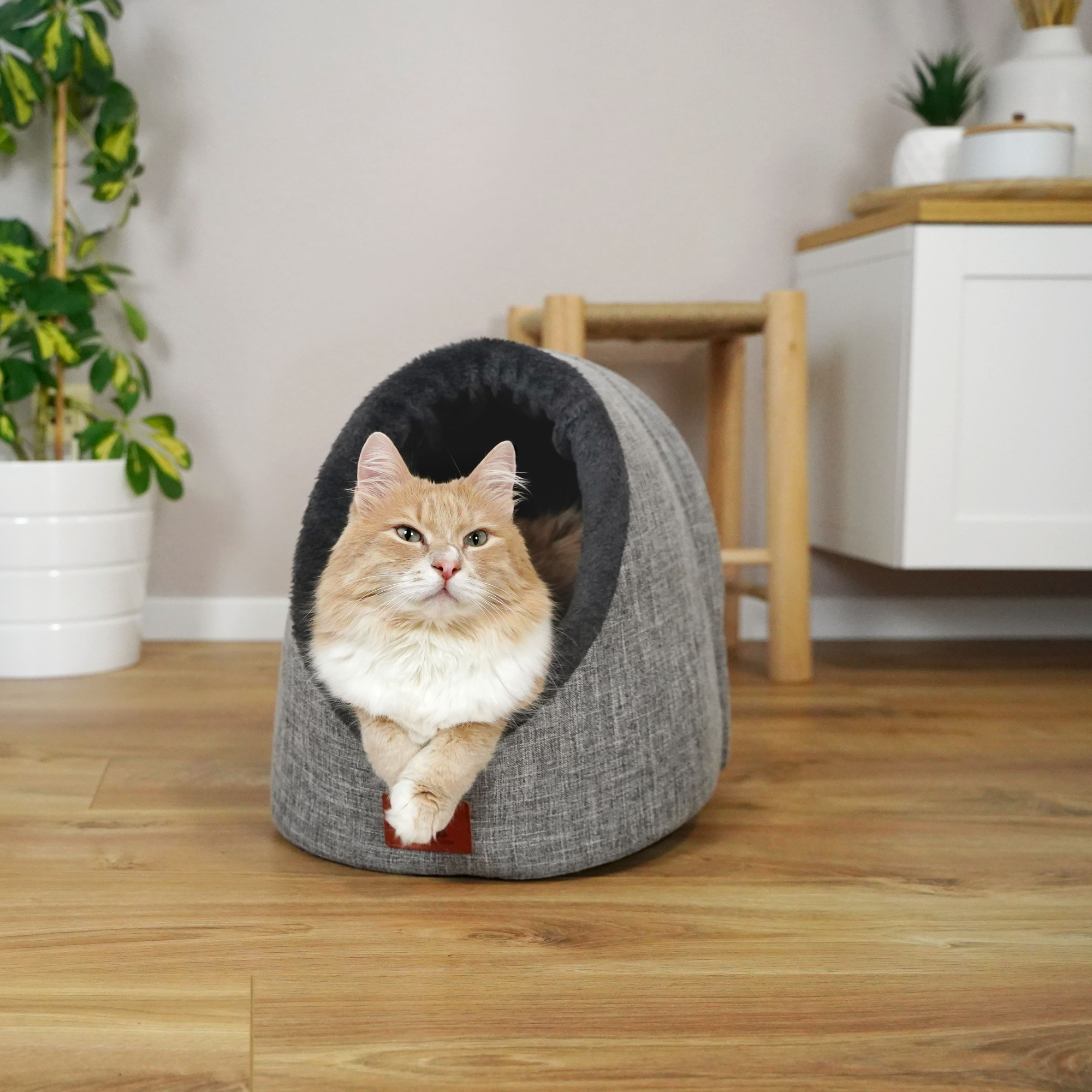 Porträt Schlitzohr > Galerie Shop > Waschbare Katzenhöhle | GIMBORN